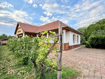 REZERVOVANÉ - MAĎARSKO - GONC TOP PENZIÓN BLÍZKO SLOVENSKÝCH - 12