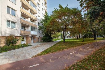 Na prenájom 3-izbový byt v Malackách - 12