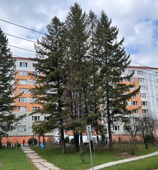 predaj, priestranný 3 izbový byt,  81,57 m2, Banská Bystrica - 12
