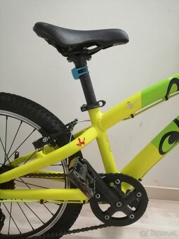 OLLO - 12