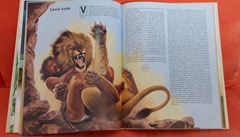 Set troch krásnych detských knižiek s biblickou tématikou - 12