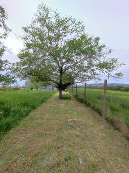 Chata pod Lipov - 12