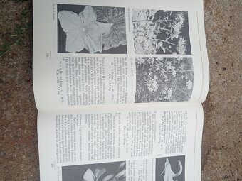Včela vcelarstvo - 12