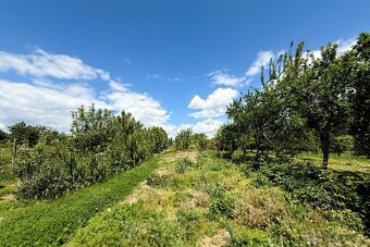 NEO- Zdravý dom + veľká záhrada 2 400 m2 v Štefanovej - SUPE - 12