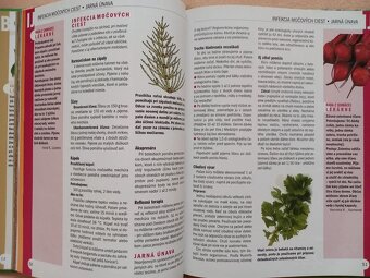 Poraďme si navzájom - pekný stav z 2005 - 12