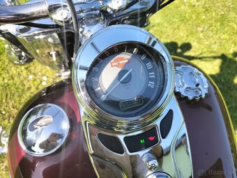 Harley Davidson Heritage  Softail - 12