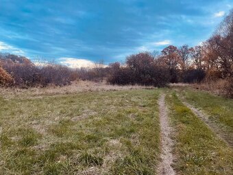 Pozemok - Lúka, Malé Leváre, 26 385 m² - 12