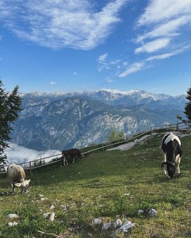 Dovolenka v Slovinsku (Bohinj-Bled) - 12