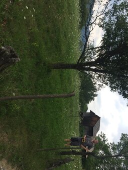 Rovinaty, slnecny pozemok v Zarnovici - 12