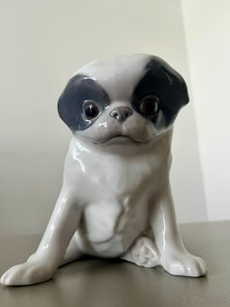 Porcelanovy pes Pekinez Japan chin Royal Copenhagen - 12