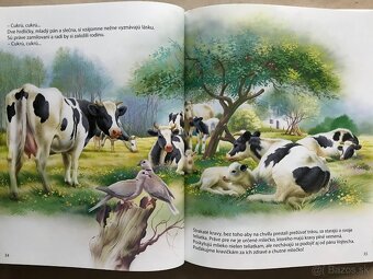 Medzi nami dievčatami, Božena Němcová: Babička, Goofy - 12