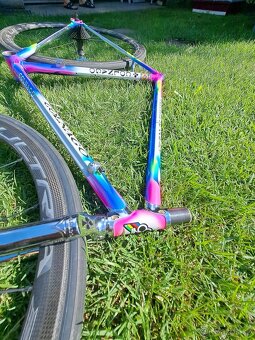 Campagnolo Bora ultra 35 - 12