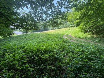 Stavebný pozemok Trenčín, Potočná ulica 2108 m2 | les, potok - 12
