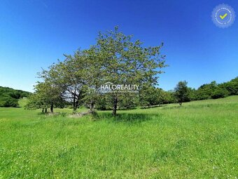 HALO reality - Predaj, rodinný dom Opava, na samote  - ZNÍŽE - 12
