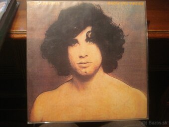 LP R.STEWART SANTANA YARDBIRDS HANCOCK BLONDIE K.ROGERS - 12
