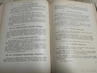 BROUCI--František Dlouhý--cca r.1900--Soustavný popis nejdůl - 12