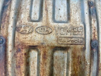 Kia carnival III diely - 12