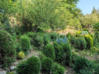 Murovaná chatka so záhradou - 12