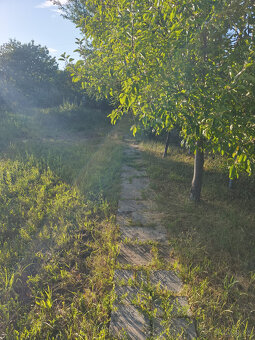 Predaj chaty v časti Vinice, Rimavská Sobota - 12