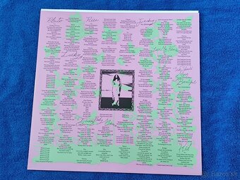 Raveena - Where the butterflies go in the rain (platňa,Vinyl - 12
