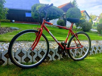 Horský bike Vector - 12