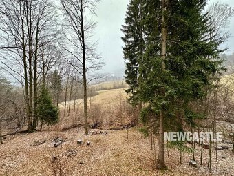 NEWCASTLE⏐PREDAJ - 3-izbová chata, Tajov - 12