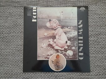 LP Vinyl platne - 12