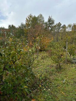 Záhrada vo Svätom Jure - 12