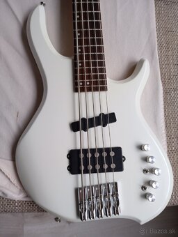 REZERVOVANÉ -5 strunová basgitara - 12
