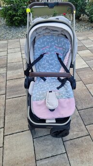 Venicci Tinum Upline - 12