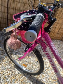 KENZEL COMPACT 24 - 12