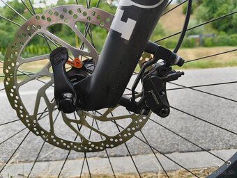 Pells Root 1 - veľ. M - 12