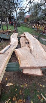 Predám orechové rozivo - 12