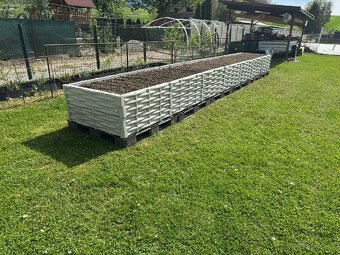 Vyvýšené betónové záhony - 12