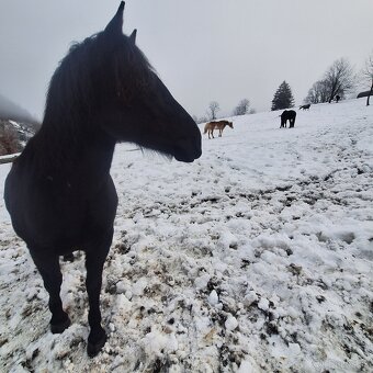 Ustajnenie 24/7 - 12