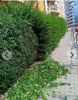 Remeselné a záhradnické práce . - 12