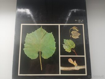 Vinárske knihy - 12