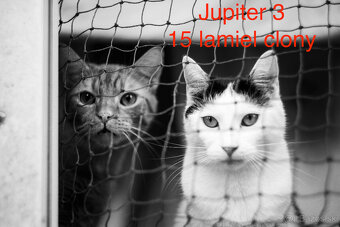 Jupiter 3 1.5/50mm - 12