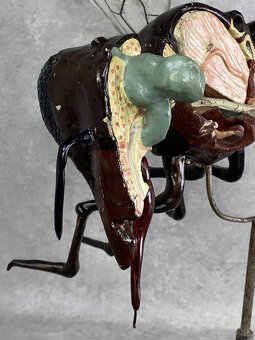 školský model na výučbu Včela 1920 - 12