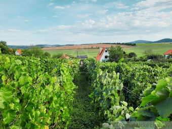 Viničný domček s pivnicou, vinohradom a záhradou v Kozárov - 12