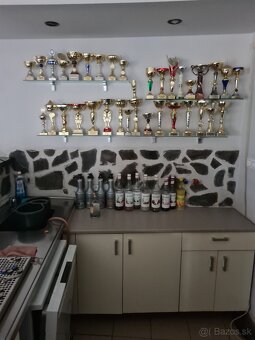 Rodinný dom ako podnikateľský objekt s veľkým pozemkom - 12