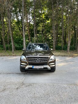 Mercedes ml350 bluetec - 12