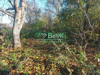 Predaj starší rodinný dom Vráble, NR (107-12-ERF) - 12