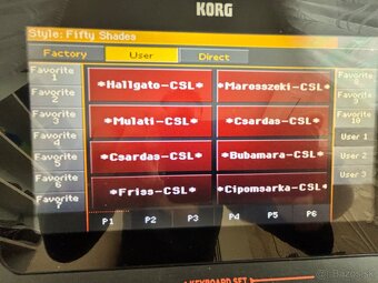 Predám KORG PA 4X 76 International - 12