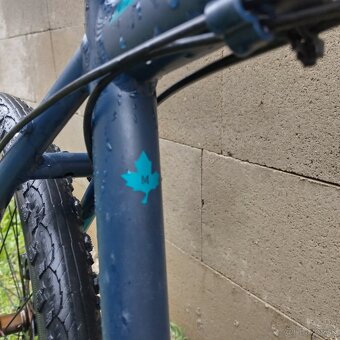 FOCUS whistler Hardtail - 12