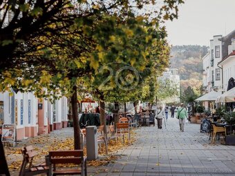 Historický dom v centre Piešťan - 12