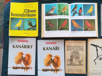 Predám knihy o kanárikoch - 12