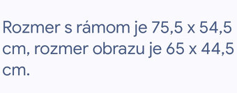 Predám signovanú olejomalbu slnečnicové zátišie 40te roky 89 - 12