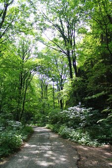 Digitálna zkradlovka Canon eon 1100D + EF-S 18-55mm DC III - 12