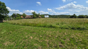 Krásny pozemok s vinicou v Jabloňovciach o výmere 9585 m2 - 12